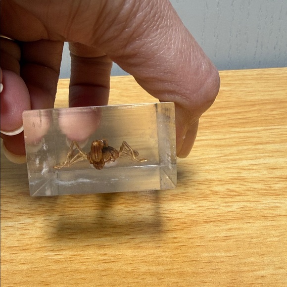 Scorpion Paperweight 🦂 - Picture 9 of 15